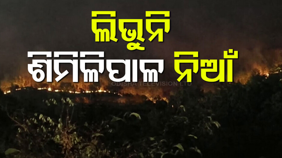 ଶିମିଳିପାଳ ଅଭୟାରଣ୍ୟରେ ଲିଭୁନି ବନାଗ୍ନି, ଗୋଟିଏ ପାହାଡ଼ରୁ ଅନ୍ୟ ପାହାଡକୁ ମାଡ଼ି ଚାଲିଛି ନିଆଁ