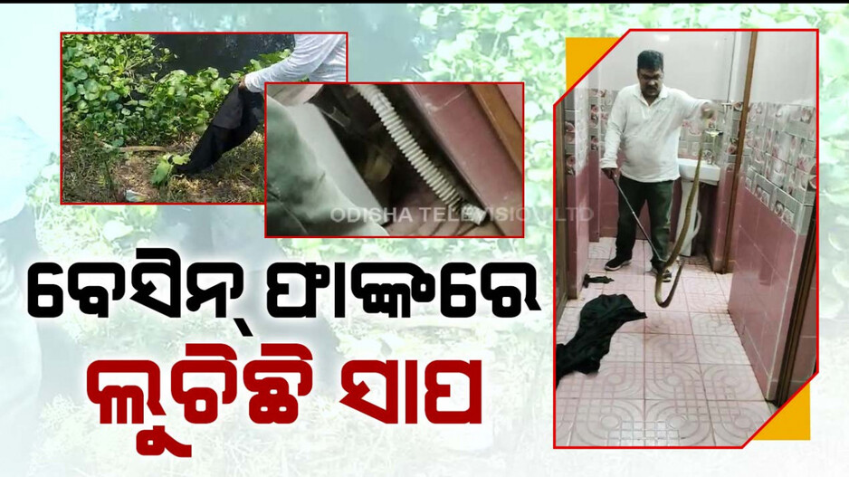 ଯବାନଙ୍କ ବାରାକ୍ ଭିତରେ ପଶିଗଲା ବିରାଟ ବଡ଼ ସାପ
