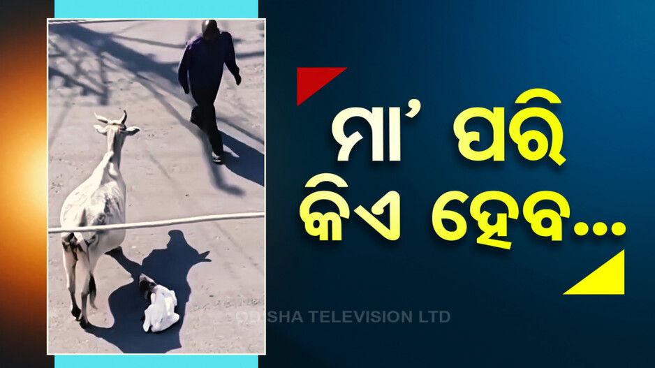 ମା’ ପରି କିଏ ହେବ...