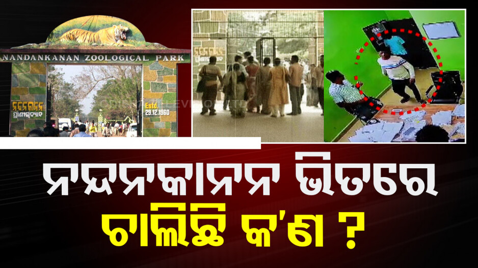 ନନ୍ଦନକାନନ ଭିତରେ ଚାଲିଛି କ’ଣ ? ପ୍ରାଣୀ ଉଦ୍ୟାନ ପାଲଟିଛି କି ଅପରାଧୀଙ୍କ ଆଡ୍ଡାସ୍ଥଳୀ