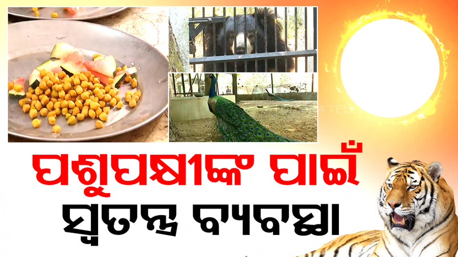 ଖରାରେ ଅସ୍ତବ୍ୟସ୍ତ ପଶୁପକ୍ଷୀ, ସମ୍ବଲପୁର ଚିଡିଆଖାନାରେ ସ୍ୱତନ୍ତ୍ର ବ୍ୟବସ୍ଥା