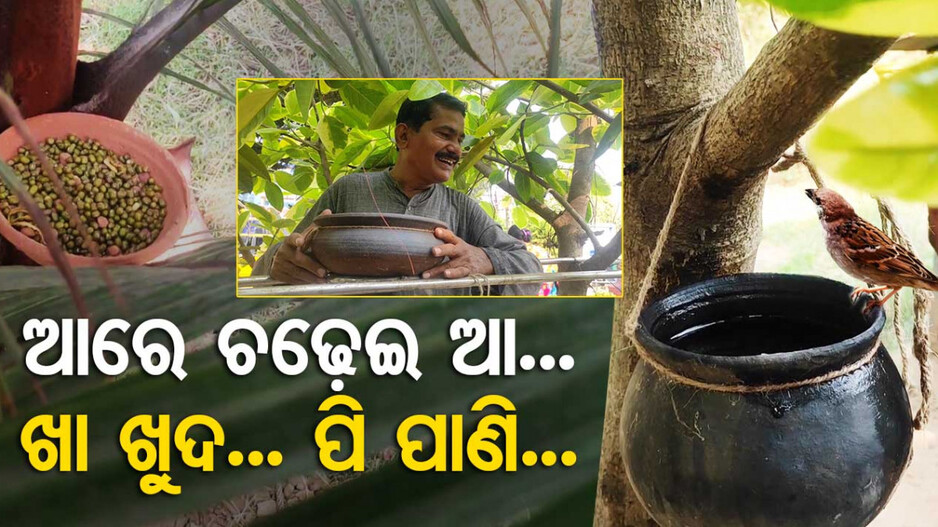 ହେ ଚଢେଇମାନେ ଆମର ଭୁଲ୍ ହୋଇ ଯାଇଛି..