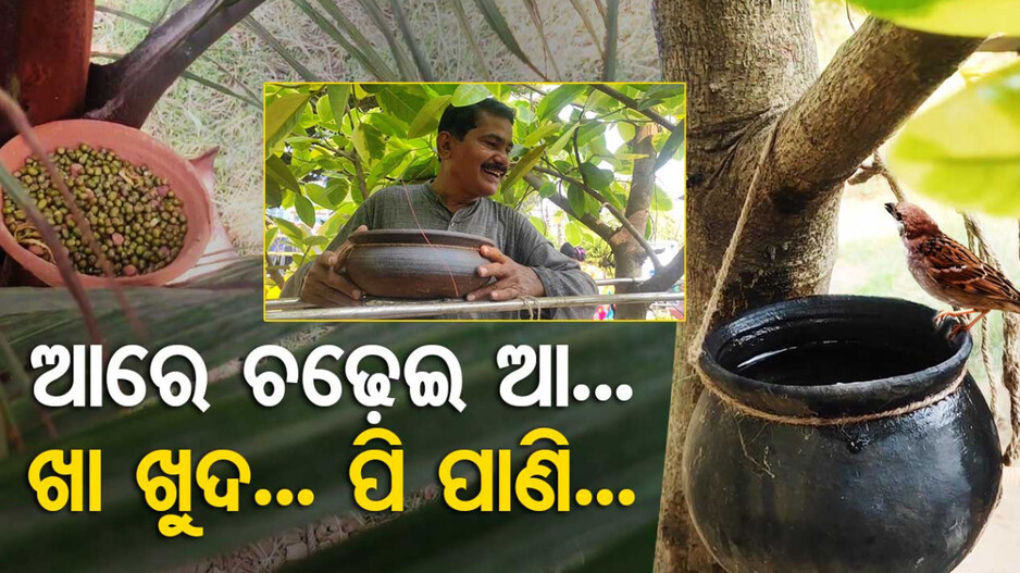 ନିଆରା କାହାଣୀ...ଯେଉଁଠି ପକ୍ଷୀଙ୍କ ପାଇଁ ସମସ୍ତେ ବନ୍ଦନା କରୁଛନ୍ତି