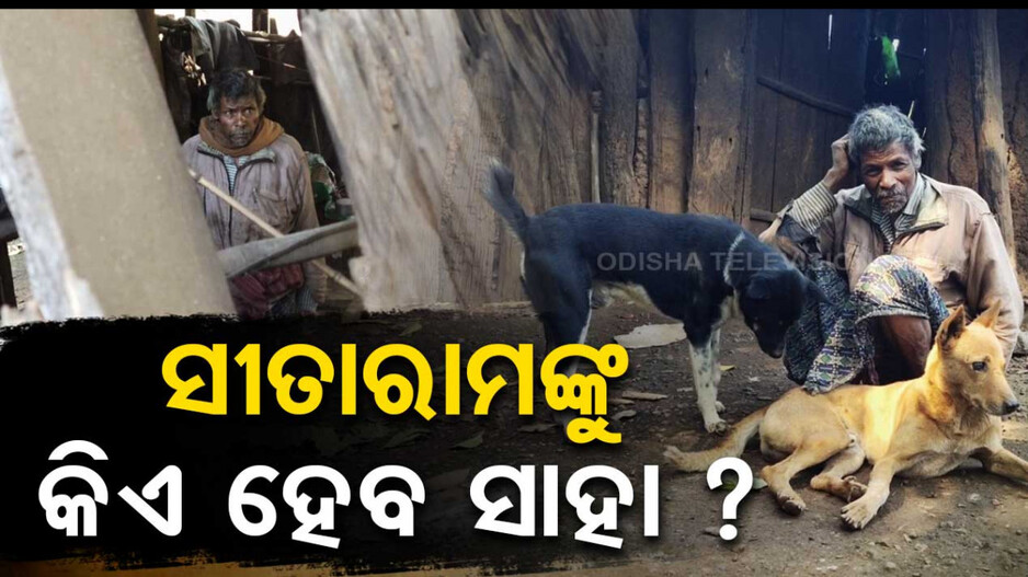 ସାଥି ପାଲଟିଛନ୍ତି ଦୁଇ କୁକୁର