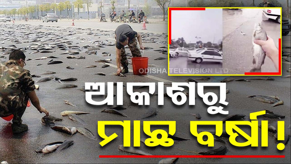 ଆଶ୍ଚର୍ଯ୍ୟ ! ପ୍ରବଳ ଝଡ଼ ତୋଫାନ ପରେ ଆକାଶରୁ ମାଛ ବର୍ଷା...! ଦେଖନ୍ତୁ ଭିଡିଓ...