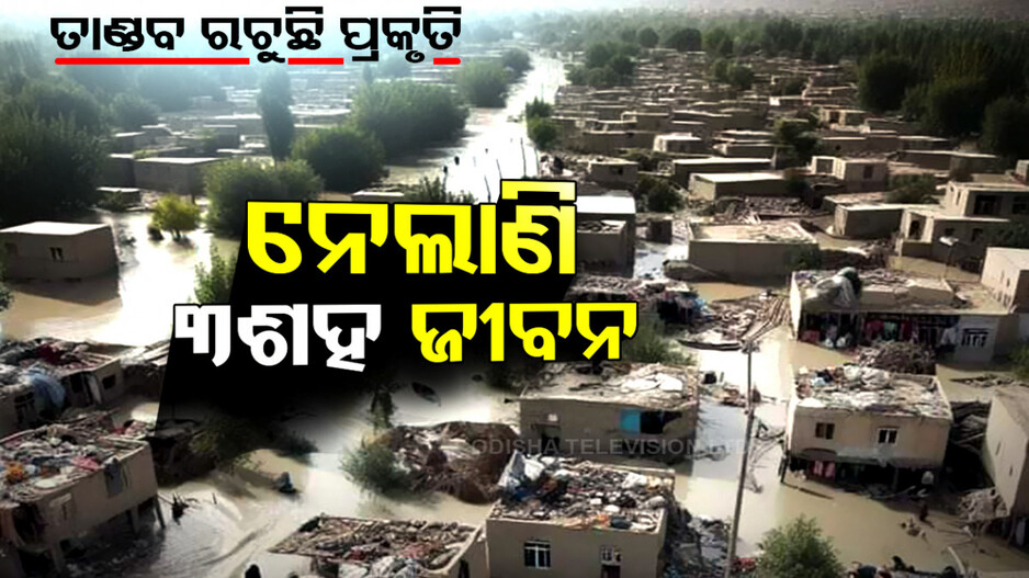 ତାଣ୍ଡବ ରଚୁଛି ପ୍ରକୃତି, ନେଲାଣି ୩  ଶହ ଜୀବନ