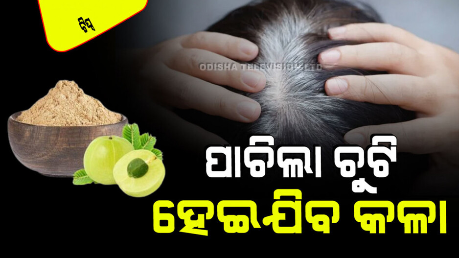 Hair Care: ଘରେ ତିଆରି କରନ୍ତୁ ଅଁଳାରେ ମାସ୍କ; ଧଳା ଚୁଟିରେ ଲଗାନ୍ତୁ, ହୋଇଯିବ କଳା