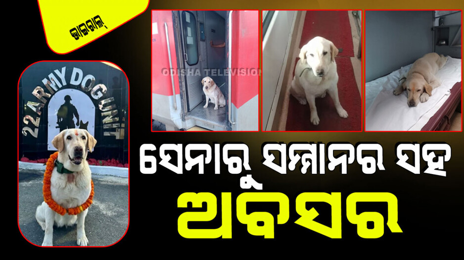 Viral: ଭାରତୀୟ ସେନାରୁ ଅବସର ନେଲା କୁକୁର; ସମ୍ମାନର ସହ ଏସି କୋଚ୍‌ରେ ଘରକୁ ଗଲା