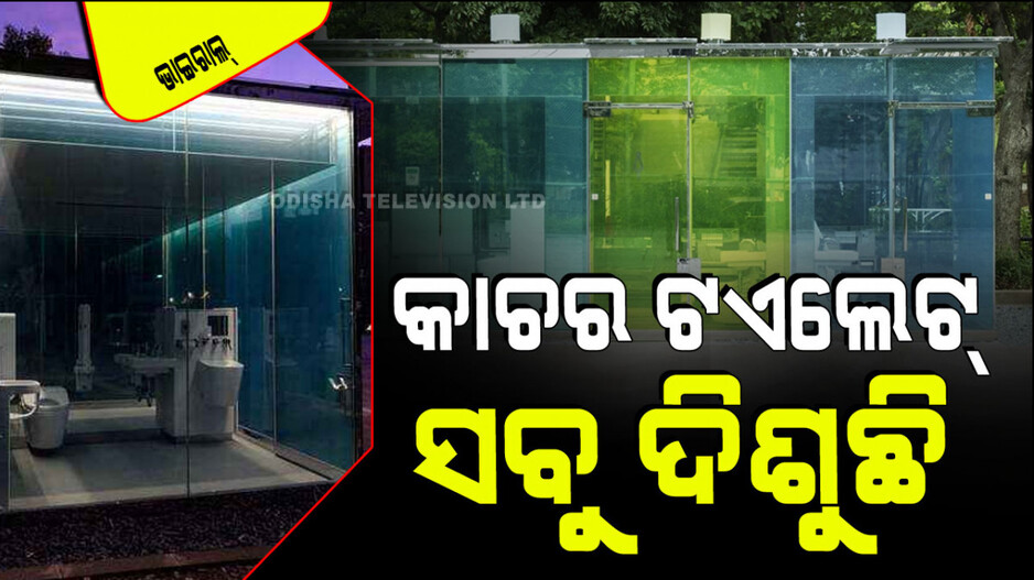 Viral Video: ଏଠି ପାର୍କରେ ତିଆରି ହୋଇଛି କାଚର ଶୌଚାଳୟ, ବାହାରୁ ଦେଖାଯାଉଛି ଭିତରର ସବୁ ଜିନିଷ
