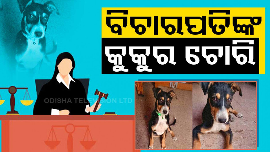 କିଏ ନେଇଗଲା ବିଚାରପତିଙ୍କ କୁକୁର ?