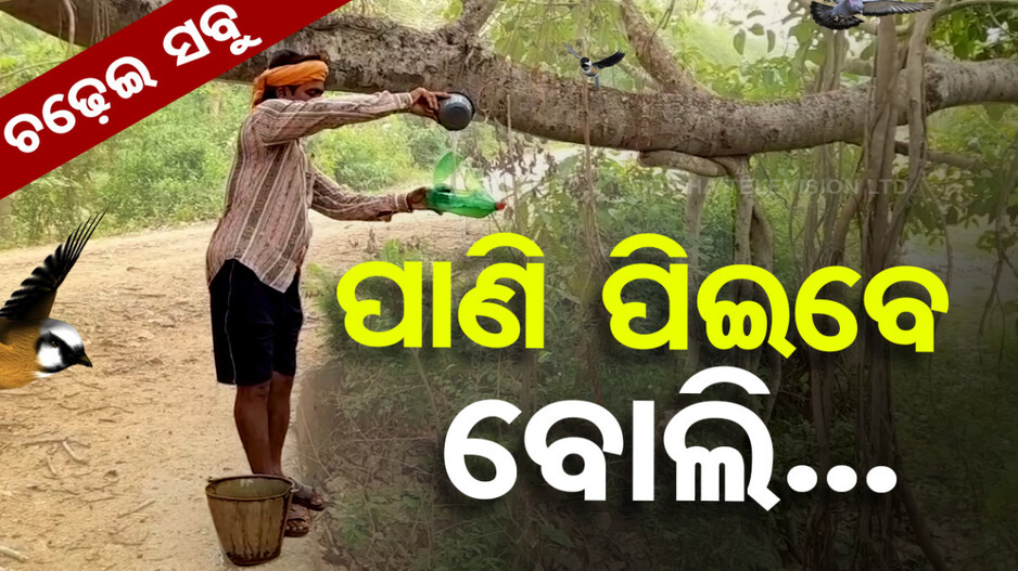 ପକ୍ଷୀଙ୍କ ପାଇଁ ଦେବଦୂତ ସାଜିଛନ୍ତି ସୁକାନ୍ତ, ଗଛରେ ବୋତଲ ବାନ୍ଧି ପିଆଉଛନ୍ତି ପାଣି