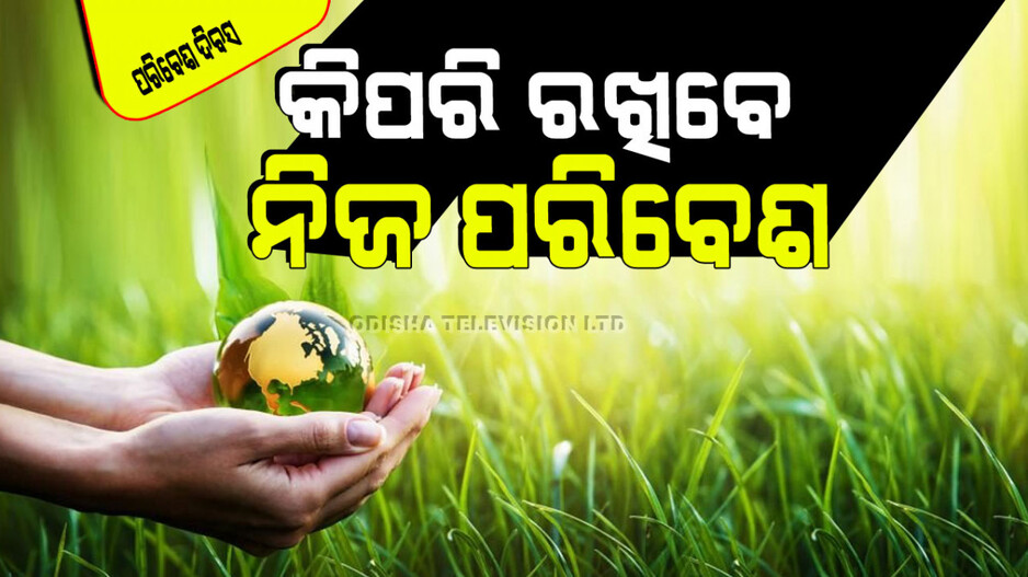 World Environment Day 2024: ପ୍ରଦୂଷଣ ବୃଦ୍ଧି ଯୋଗୁଁ ପ୍ରକୃତି ବିପଦରେ; ଜାଣନ୍ତୁ କିପରି ରକ୍ଷାକରିବେ ନିଜ ପରିବେଶକୁ