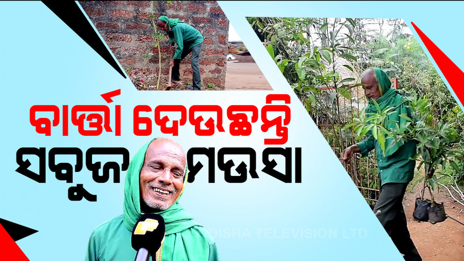 ବାର୍ତ୍ତା ଦେଉଛନ୍ତି ସବୁଜ ମଉସା