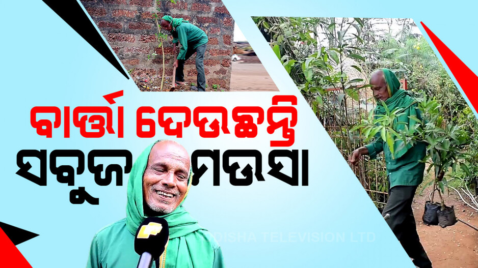 ଗ୍ରୀନ୍‌ ମ୍ୟାନ୍‌ ଦିନବନ୍ଧୁ: ୫୦ ବର୍ଷ ଧରି ଲଗାଉଛନ୍ତି ଗଛ...