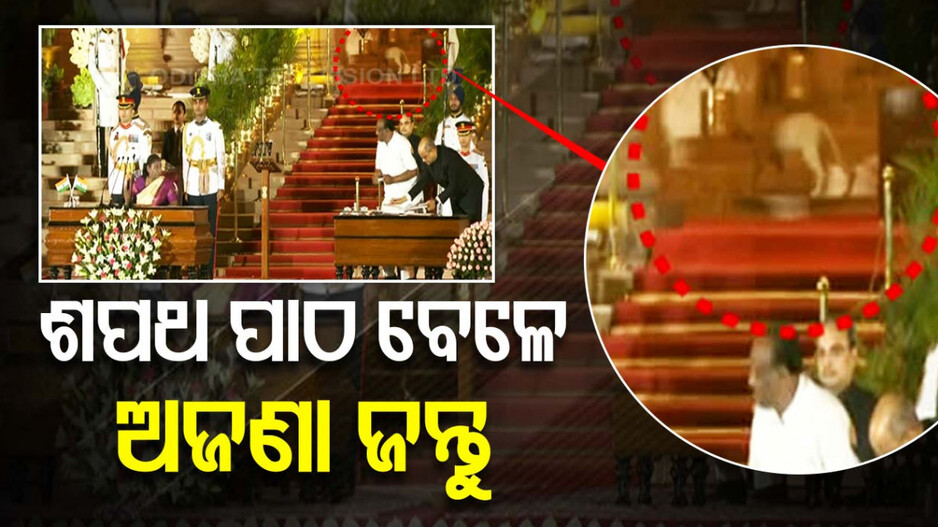 ରାଷ୍ଟ୍ରପତି ଭବନରେ ଚିତାବାଘ ! ଶପଥ ବେଳର ରହସ୍ୟମୟ ପଶୁର ଭିଡିଓ ଭାଇରାଲ୍...