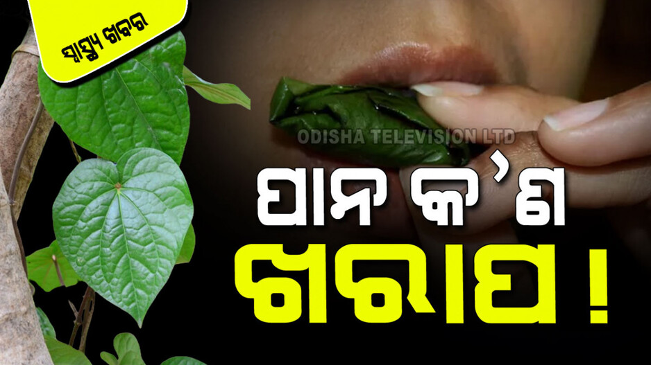 Nutrients: ପରମ୍ପରାରେ ପାନ; ଆସ୍‌ଥମା ଓ ହୃଦ୍‌ରୋଗ ପାଇଁ ରାମବାଣ