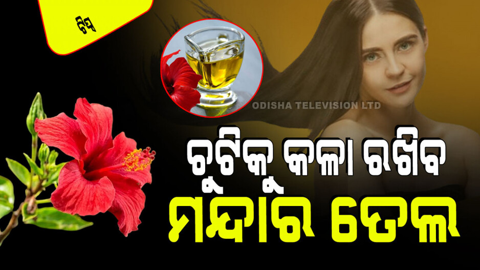 Hair Care Tips: ଘରେ ତିଆରି କରନ୍ତୁ ମନ୍ଦାର ଫୁଲ ତେଲ; ଚୁଟିରେ ମାରିଲେ ଝଡ଼ିବ ନାହିଁ କି ପାଚିବ ନାହିଁ