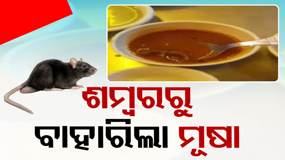 ରେଷ୍ଟୁରାଣ୍ଟରେ ବସି ଖାଉଥିଲେ ଇଡଲି ଶମ୍ବର..ବାହାରିଲା ମଲା ମୂଷା..ତା’ପରେ..