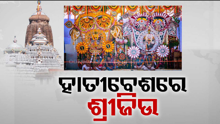 ହାତୀବେଶରେ ଦର୍ଶନ ଦେଉଛନ୍ତି ମହାବାହୁ