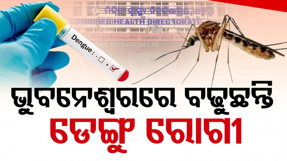 ରାଜଧାନୀରେ ମାଡ଼ି ଚାଲିଛି ଡେଙ୍ଗୁ, ଖୋର୍ଦ୍ଧାରେ କେବଳ ୮୦ ରୋଗୀ ରେକର୍ଡ