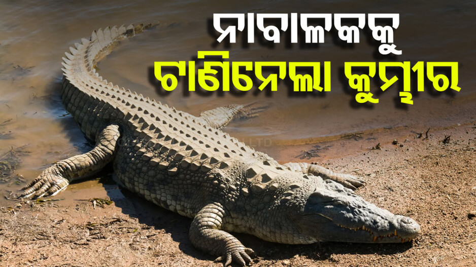 ୮ ବର୍ଷର ବାଳକକୁ ଟାଣିନେଲା କୁମ୍ଭୀର