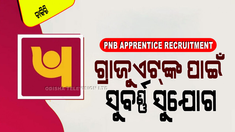 PNB Recruitment: ପଞ୍ଜାବ ନେସ୍‌ନାଲ୍ ବ୍ୟାଙ୍କରେ ପୂରଣ ହେବ ୨୫୦୦ରୁ ଅଧିକ ପଦବୀ; ଜାଣନ୍ତୁ କେଉଁମାନେ ନେବେ ସୁଯୋଗ