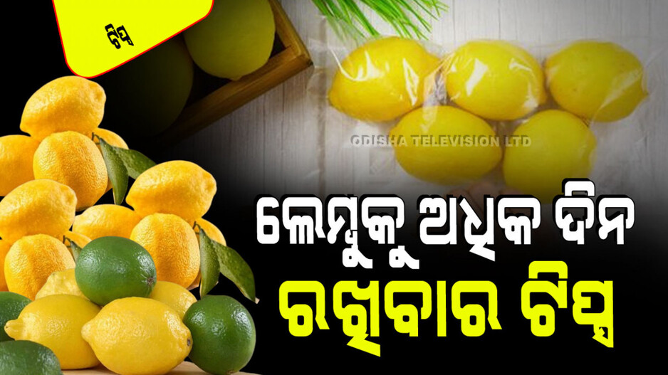 Tips and Tricks: ଯେତେ ସୁରକ୍ଷିତ ରଖିଲେ ବି ଲେମ୍ବୁ ନଷ୍ଟ ହୋଇଯାଉଛି କି… ଆପଣାକୁ ଏହି ଟିପ୍ସ