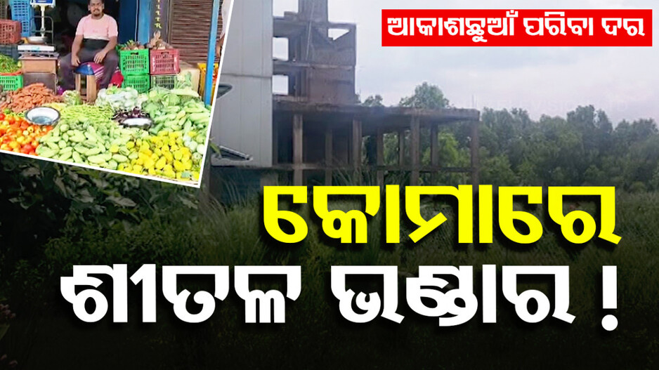 ଶୋଇଛି ଶୀତଳ ଭଣ୍ଡାର; ଅମଳ ବେଳେ ଅଭାବକୁ ନେଇ ଚିନ୍ତାରେ ଚାଷୀ...