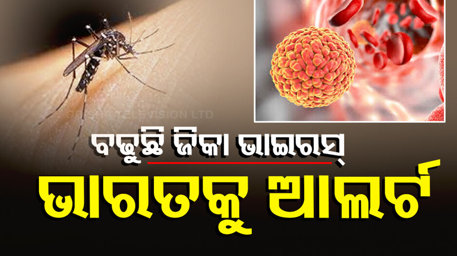 ଜିକା ଭାଇରସ୍‌କୁ ନେଇ ଆଲର୍ଟ; ସଂକ୍ରମଣ ହେଲେ କେତେ ବିପଜ୍ଜନକ ଶରୀର ପାଇଁ ? ଜାଣନ୍ତୁ...