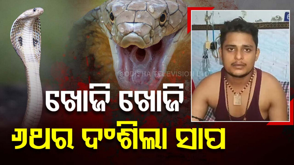 ରିଲ୍‌ ନୁହେଁ ରିୟଲ୍‌ରେ ଜାନି ଦୁସମନ୍‌; ଖୋଜିଖୋଜି ମାଉସୀ ଘରେ ଯାଇ କାମୁଡିଲା ସାପ