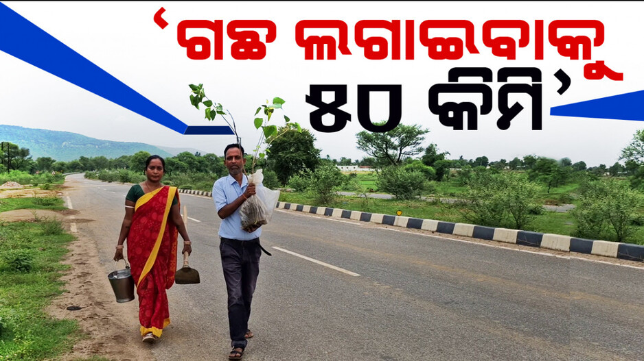 ଗଛ ଲଗାଇବୁ ୫୦ କିମି’