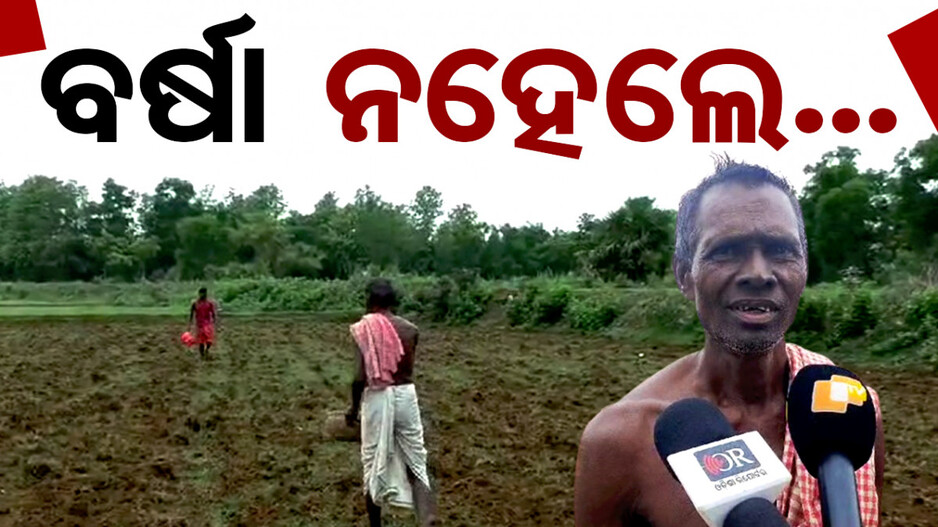 ବର୍ଷା ନାହିଁ ଚାଷୀ ହତାଶ; ଶୁଖିଲା ପଡିଛି ଚାଷ ଜମି