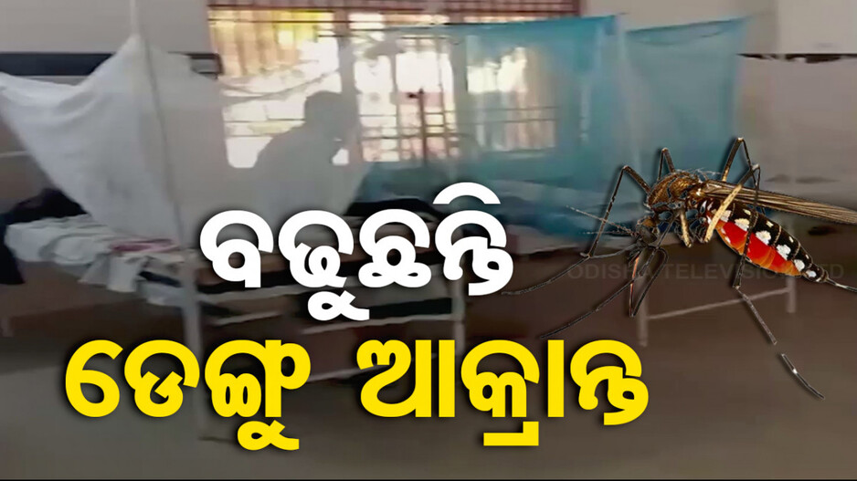 କାୟା ମେଲାଉଛି ଡେଙ୍ଗୁ; ରାଜ୍ୟରେ ୪୮୮ ଜଣ ପଜିଟିଭ ଚିହ୍ନଟ...