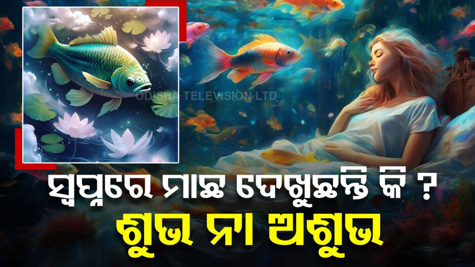 ସ୍ୱପ୍ନରେ ମାଛ ଦେଖୁଛନ୍ତି କି ? ମିଳିଥାଏ ଏହି ସଂକେତ
