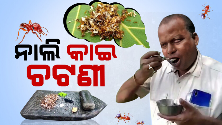 ମୟୂରଭଞ୍ଜର ନାଲି କାଇ ଚଟଣୀ