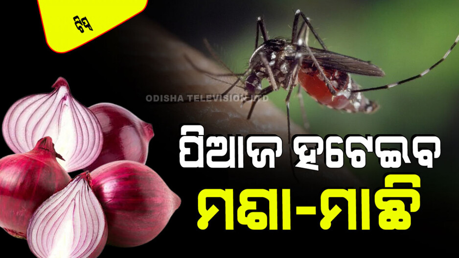 Tips and Tricks: ପିଆଜକୁ କରନ୍ତୁ ଏମିତି ବ୍ୟବହାର, ଘରେ ପଶିବେନି ମଶା-ମାଛି