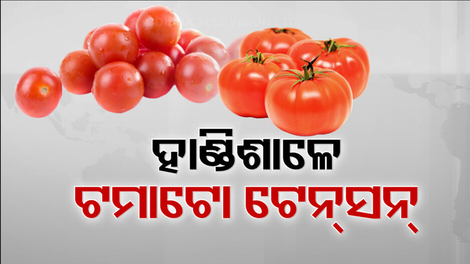 ପରିବା ହାଟରେ ଟମାଟୋ ଟେନସନ୍ !