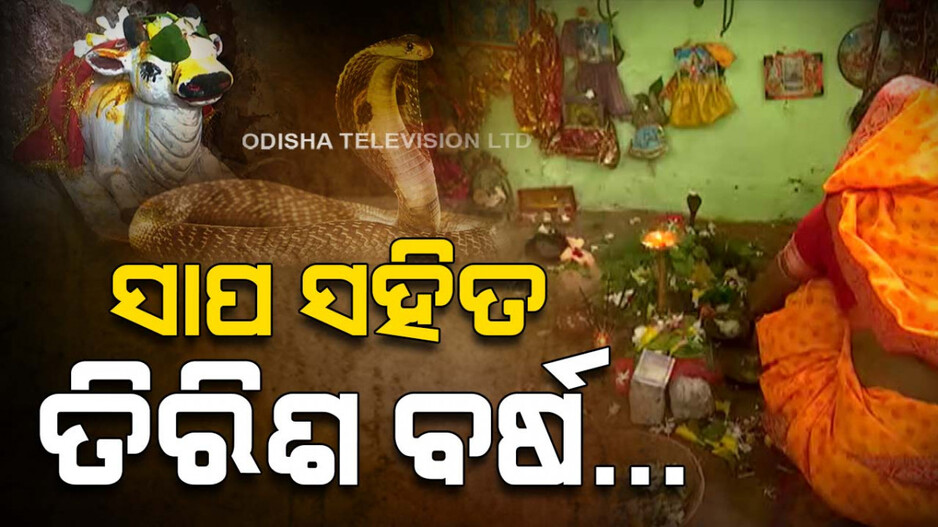 ଭକ୍ତି ଆଗରେ ହାର ମାନିଛି ଭୟ; ଗୋଟିଏ ଘରେ ଏକାଠି ରହୁଛନ୍ତି ମଣିଷ ଓ ସାପ...
