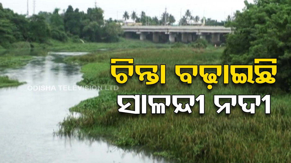କବଳିତ କରିଛି ମେଞ୍ଚା ମେଞ୍ଚା ଦଳ...କେନାଲ ଭଳି ଦିଶୁଛି ସାଳନ୍ଦୀ ନଦୀ