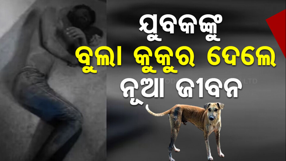 ମରିଗଲା ଭାବି ପୋତି ଦେଇଥିଲେ, ବୁଲା କୁକୁର ମାଂସ ଖାଇବା ଲୋଭରେ ଖୋଳି ବାହାର କଲେ...