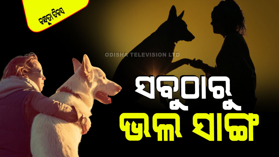 Friendship Day 2024: 'କୁକୁର ହେଉଛି ମଣିଷର ସର୍ବୋତ୍ତମ ବନ୍ଧୁ': ଏହା ପ୍ରଥମେ କିଏ ବ୍ୟବହାର କରିଥିଲେ