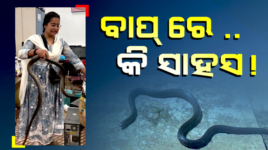 ସାହସର ସହ ହାତରେ ସାପ ଧରୁଛନ୍ତି ମହିଳା