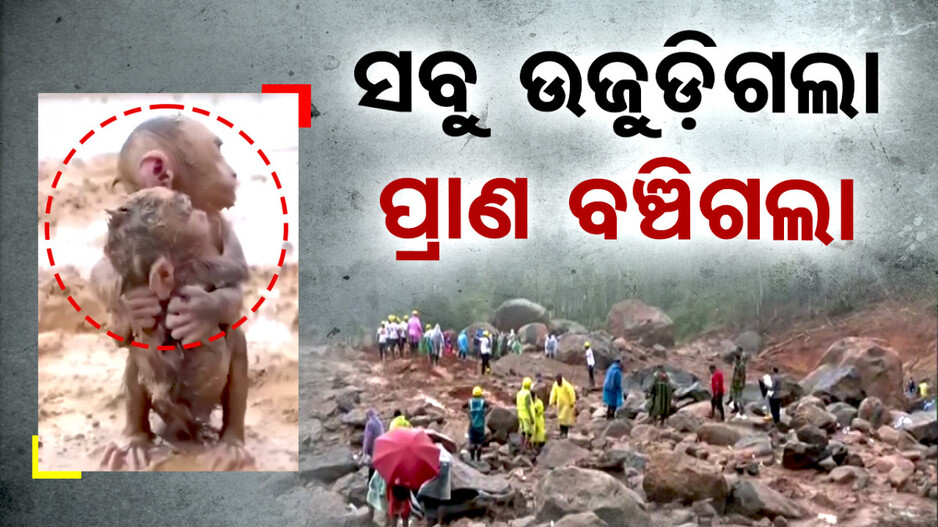 ରଖେ ହରି ତ ମାରେ କିଏ, ଭୂସ୍ଖଳନର ଭୟଙ୍କର ତାଣ୍ଡବରୁ ବର୍ତ୍ତିଯାଇଛି ନିରୀହ ଜୀବନ