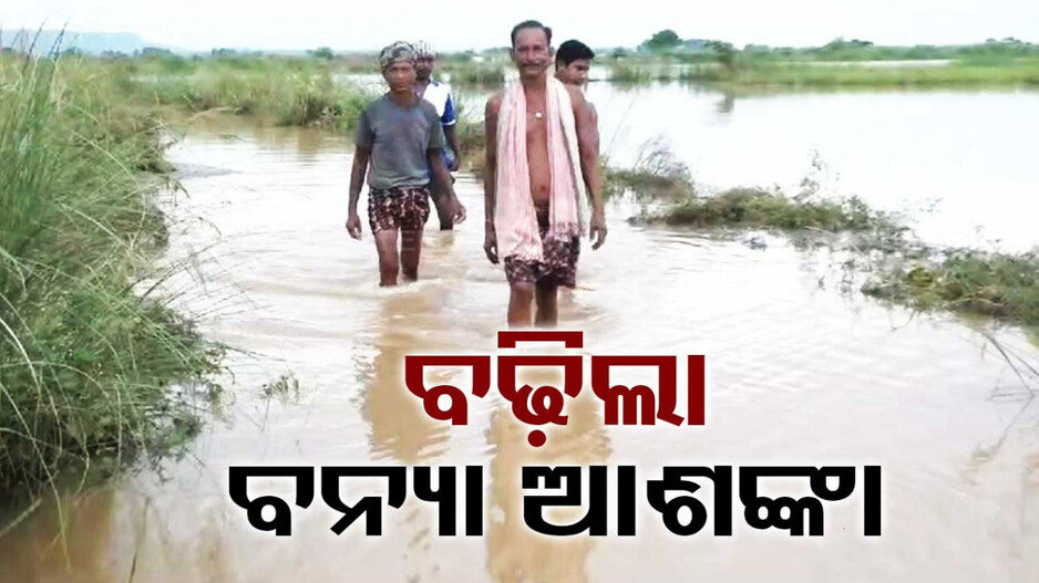 ଲଗାଣ ବର୍ଷାରେ ଭାଙ୍ଗିଲା ପୋଲ, ହେକ୍ଟର ହେକ୍ଟର ଚାଷ ଜମି ବାଲିଚର