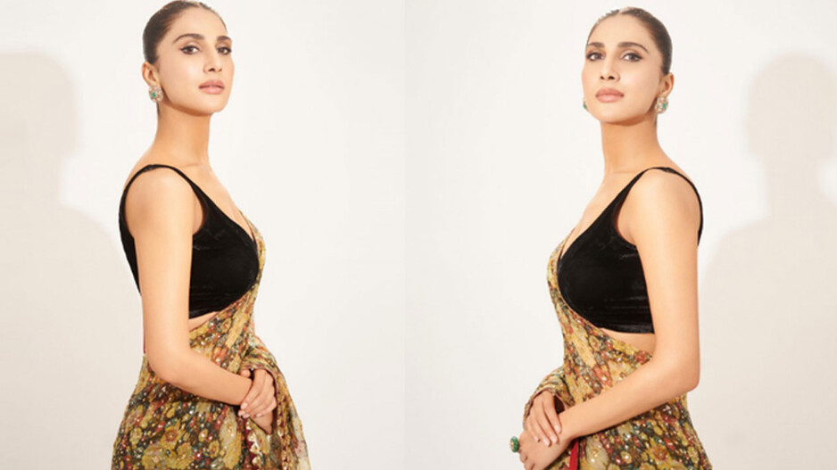 ବାଣୀ କପୁରଙ୍କ ଶାଢି ଲୁକ୍ ଦେଖି ଦିୱାନା ହେଲେ ଯୁବକ