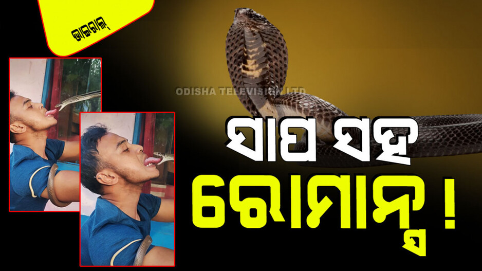 Viral Video: ଆରେ ବାପ୍‌ରେ! ସାପ ପାଟିରେ ପୂରେଇ ଦେଲେ ଜିଭ; ହେଲେ ସାପ…