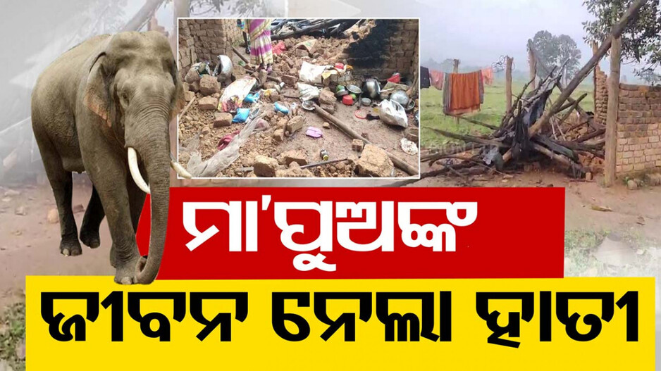ଶୋଇଥିବାବେଳେ ହାତୀ ଭାଙ୍ଗିଦେଲା ଘର; ମାଆ, ପୁଅ ମୃତ