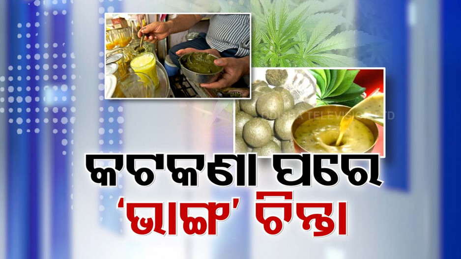 କାହିଁକି ମାଦକ ଦ୍ରବ୍ୟରେ ସାମିଲ ହେଲା ଭାଙ୍ଗ ? କ’ଣ ହେବ ଫାଇଦା ? ଜାଣନ୍ତୁ...
