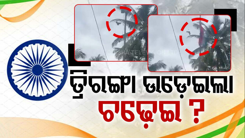 ସତରେ କ'ଣ ତ୍ରିରଙ୍ଗା ଉଡ଼ାଇଲା ଚଢ଼େଇ?