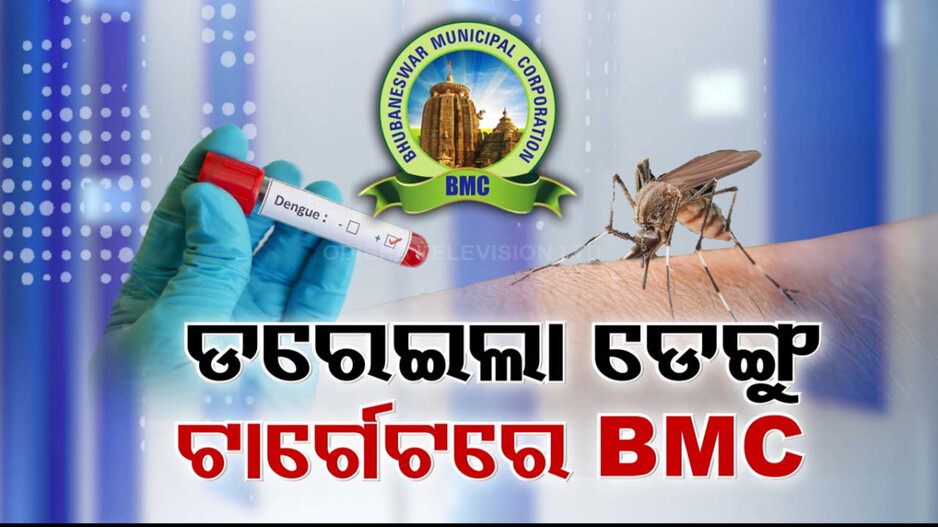 ରାଜ୍ୟକୁ ଡରେଇଲାଣି ଡେଙ୍ଗୁ